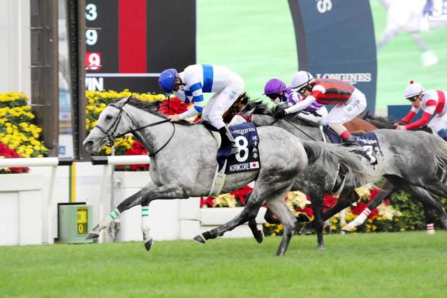 【香港カップ】ノームコア雪辱Ｖ　距離延びて変身！日本調教牝馬初の香港国際競走制覇