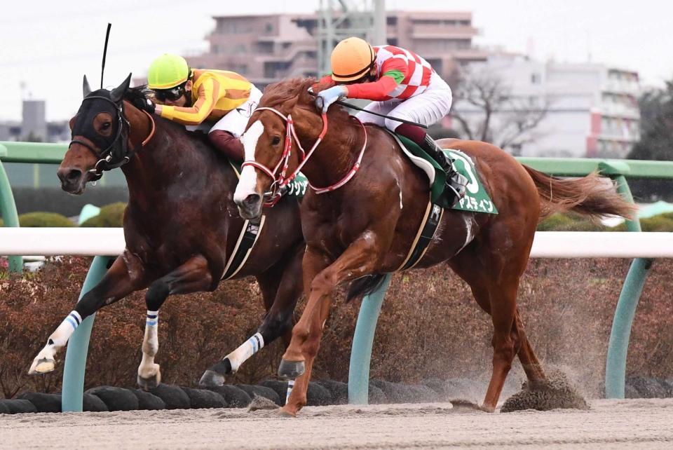 カペラｓ ジャスティン重賞ｖ３ 大激戦制した いざ海外制覇へ 競馬 レース デイリースポーツ Online