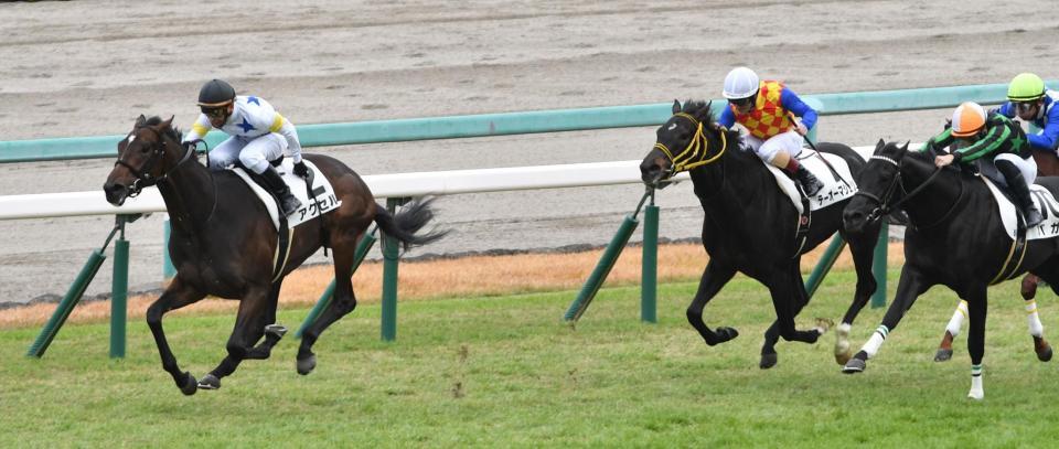 　阪神５Ｒ新馬戦を制したアクセル（撮影・佐々木彰尚）