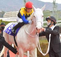 ソダシをねぎらう吉田隼（撮影・石湯恒介）