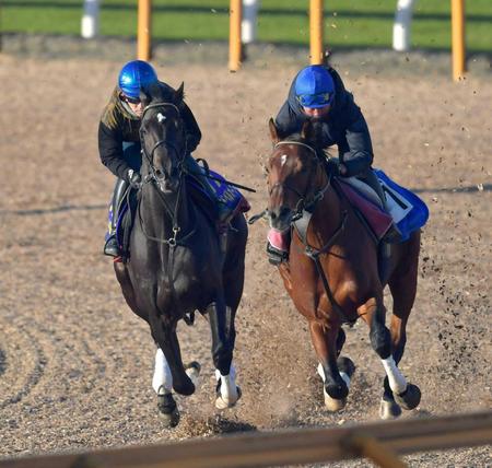 　福永を背に併せ馬を行ったレッドベルオーブ（左）＝撮影・石湯恒介