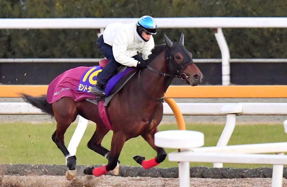 　栗東ＣＷで状態の良さをアピールしたモントライゼ