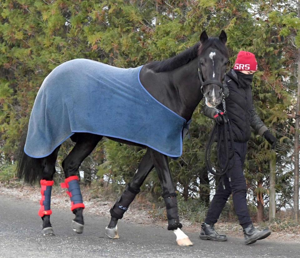 　運動するステラヴェローチェ（撮影・山口登）