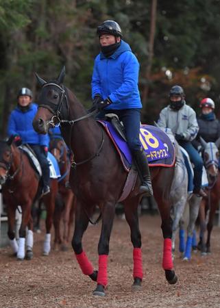 ロードマックス