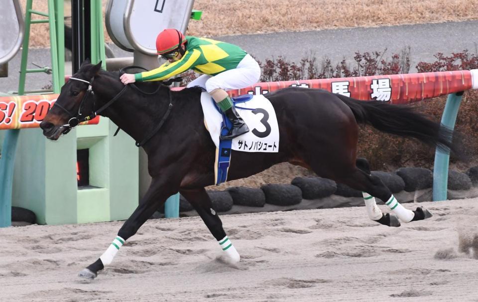 ８Ｒ・３歳以上１勝クラスを制したサトノパシュート＝中山競馬場（撮影・園田高夫）
