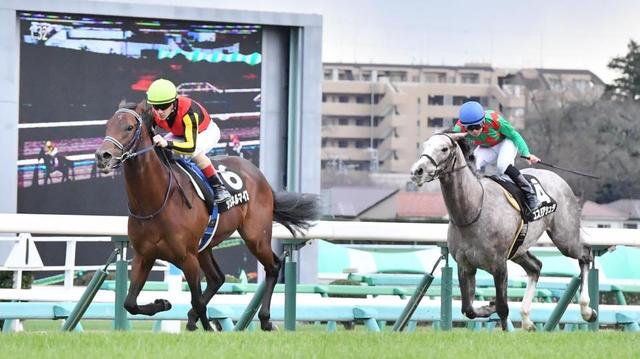 【ひいらぎ賞】シュネルマイスター、３馬身差で快勝　ルメールが絶賛