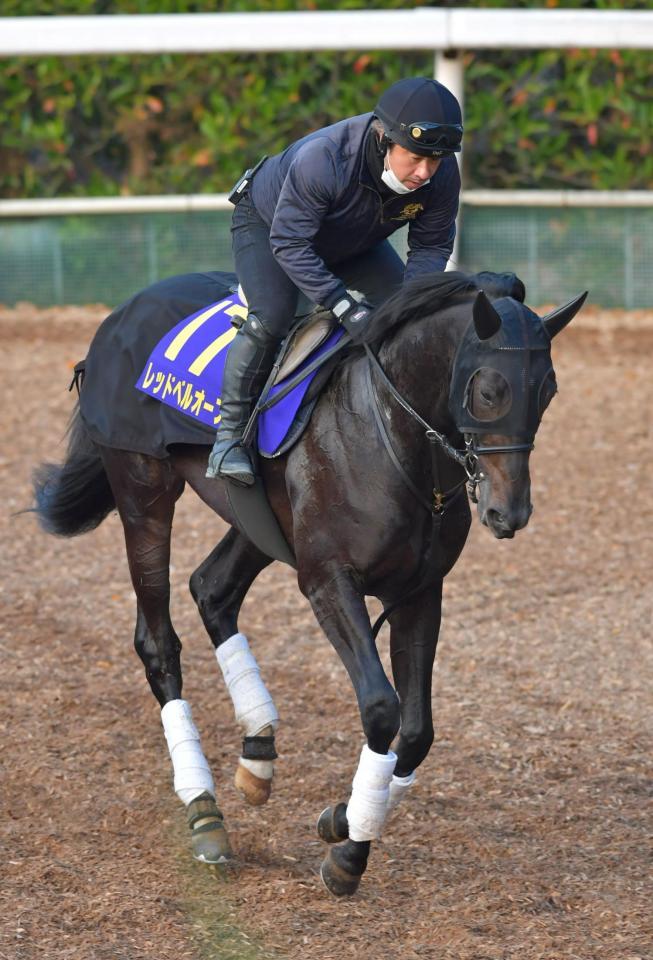 　レッドベルオーブ