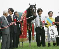 　２００７年日本ダービーを制したウオッカ