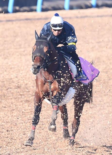 ミッキースワローが有馬記念を回避 競馬 レース デイリースポーツ Online