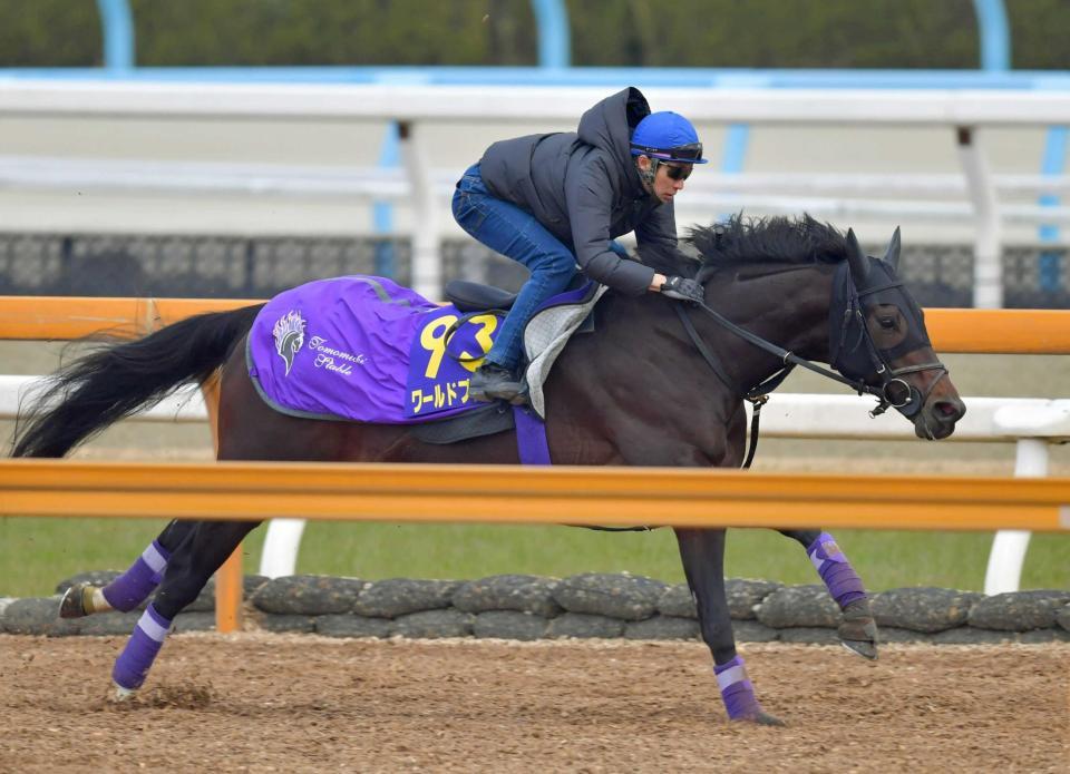 　馬なりながら活気十分のワールドプレミア