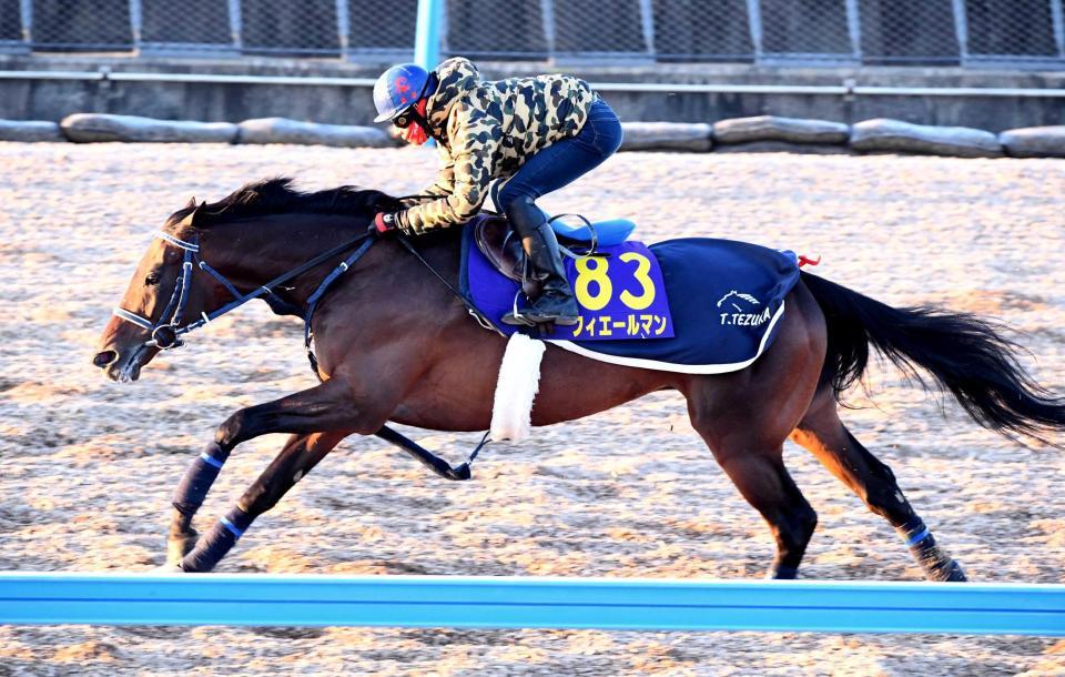 　美浦Ｗで抜群の動きを見せたフィエールマン（撮影・園田高夫）