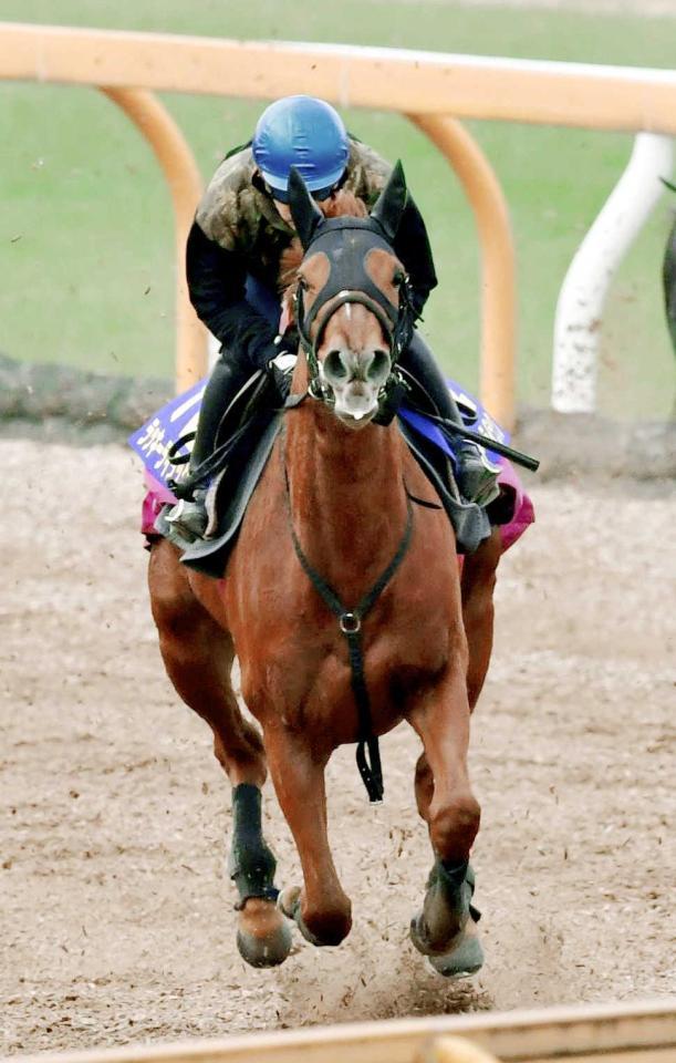 　福永を背に最終追い切りを行ったラッキーライラック（撮影・石湯恒介）