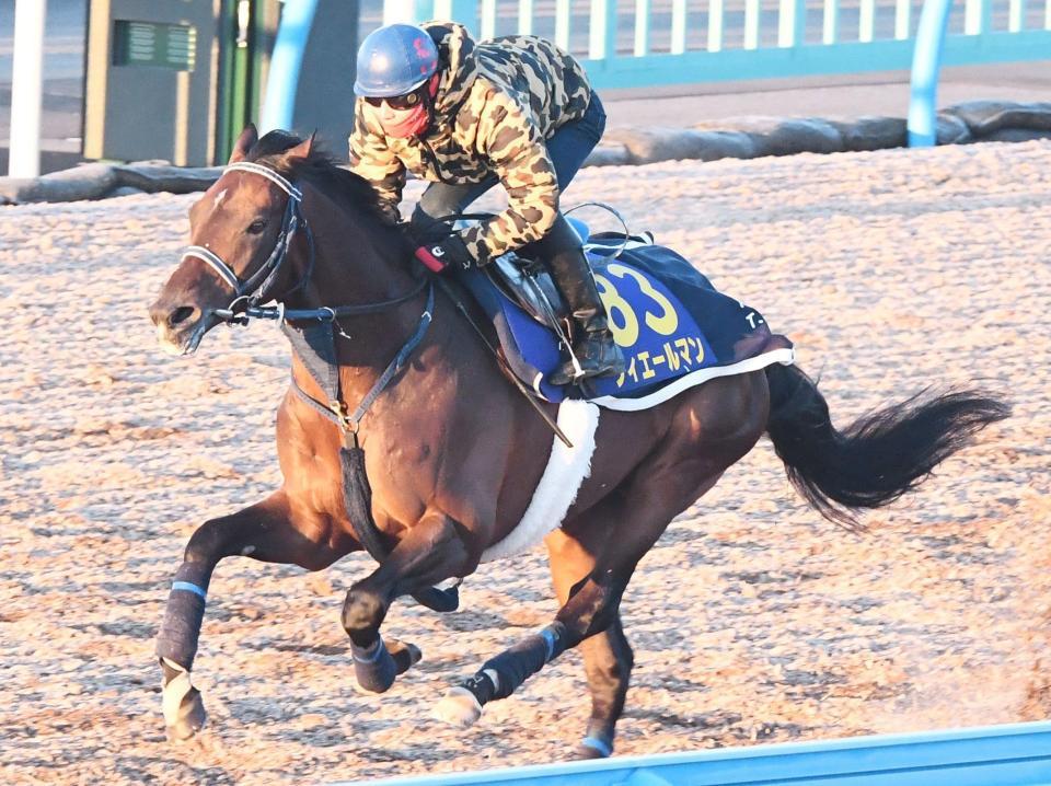 有馬記念 フィエールマン落ち着き十分 手塚師 向正面あたりから仕掛ける 競馬 レース デイリースポーツ Online