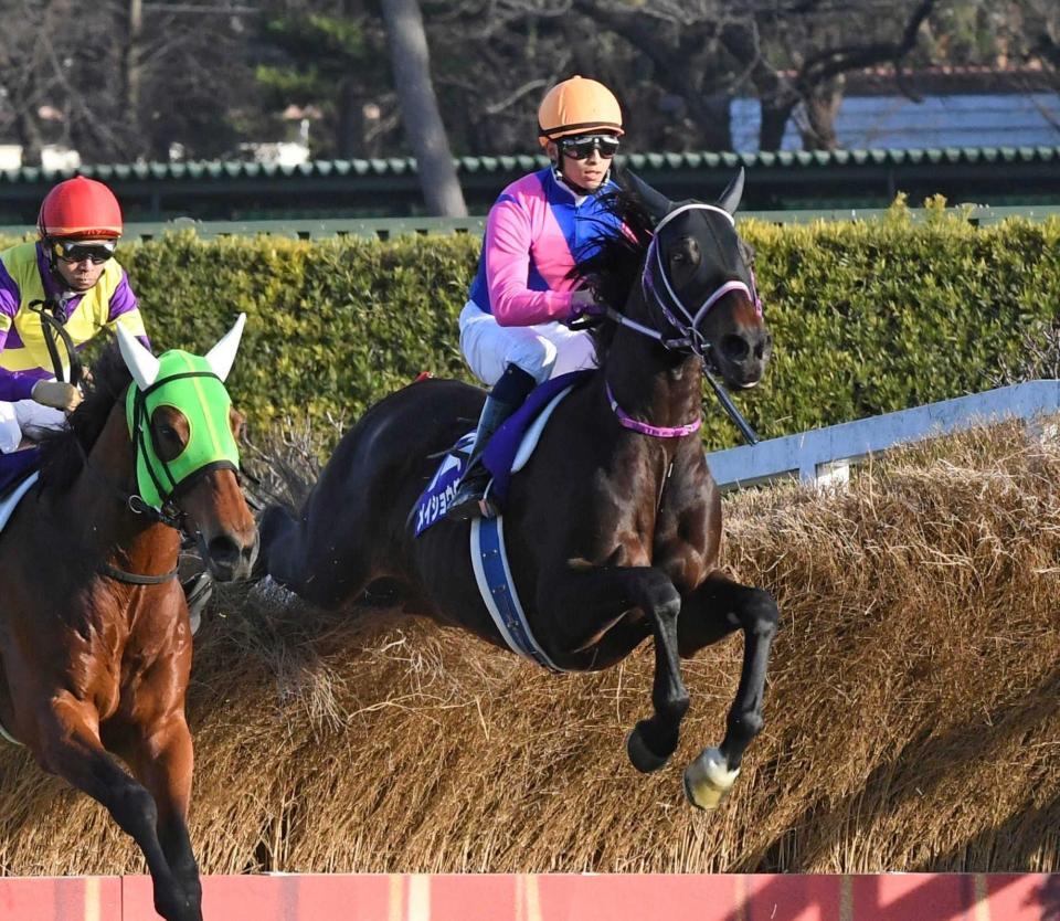 　華麗な飛越で勝利を手にしたメイショウダッサイ（右）