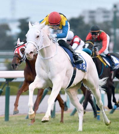 　最優秀２歳牝馬に選ばれたソダシ