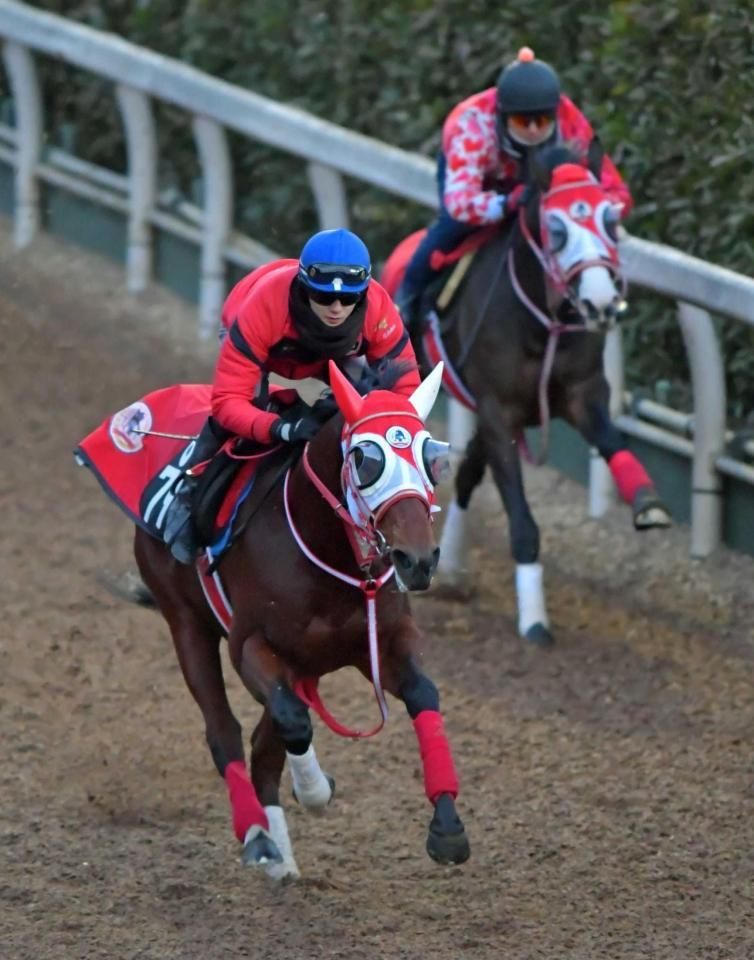 　バスラットレオン（左）は栗東坂路で豪快に先着（撮影・石湯恒介）