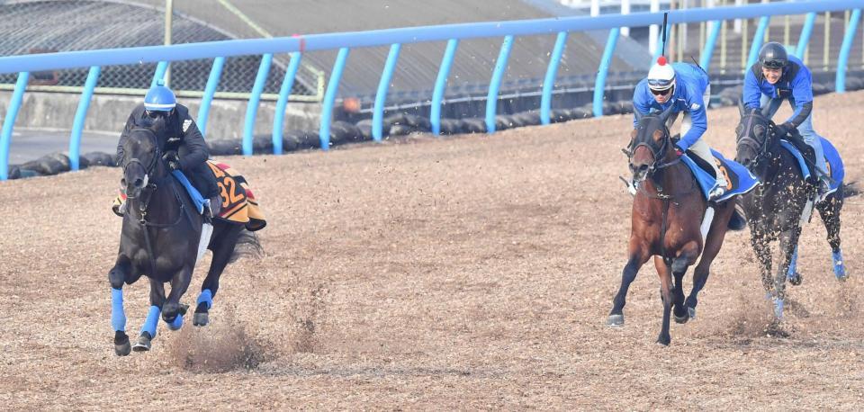 　僚馬を圧倒したクールキャット（左）