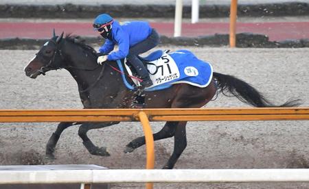 　併せ馬で後れを取ったクラージュゲリエ