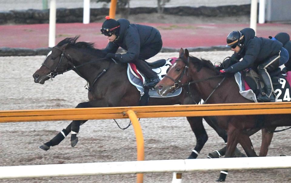 　鋭く抜け出したヴェロックス（左）＝撮影・佐々木彰尚