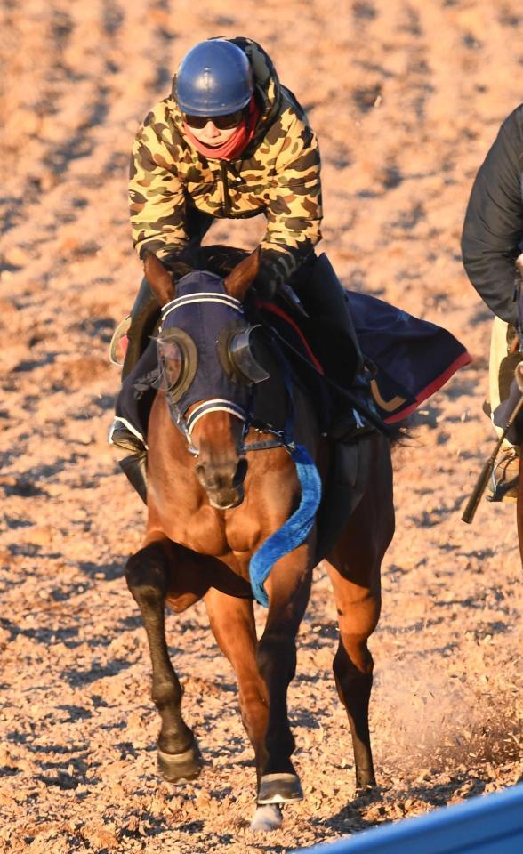 　注目の良血馬エクランドール