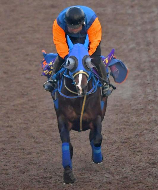 【危険な人気馬】Ｇ１馬が東京11Ｒに参戦　実力馬でも７Ｆ戦は忙しすぎる