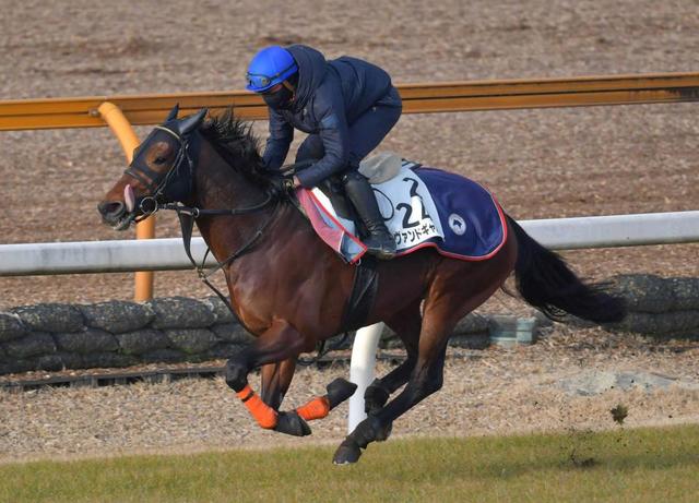 【東京新聞杯】ヴァンドギャルド手応え抜群　藤原英師「ここ目標によく仕上がった」