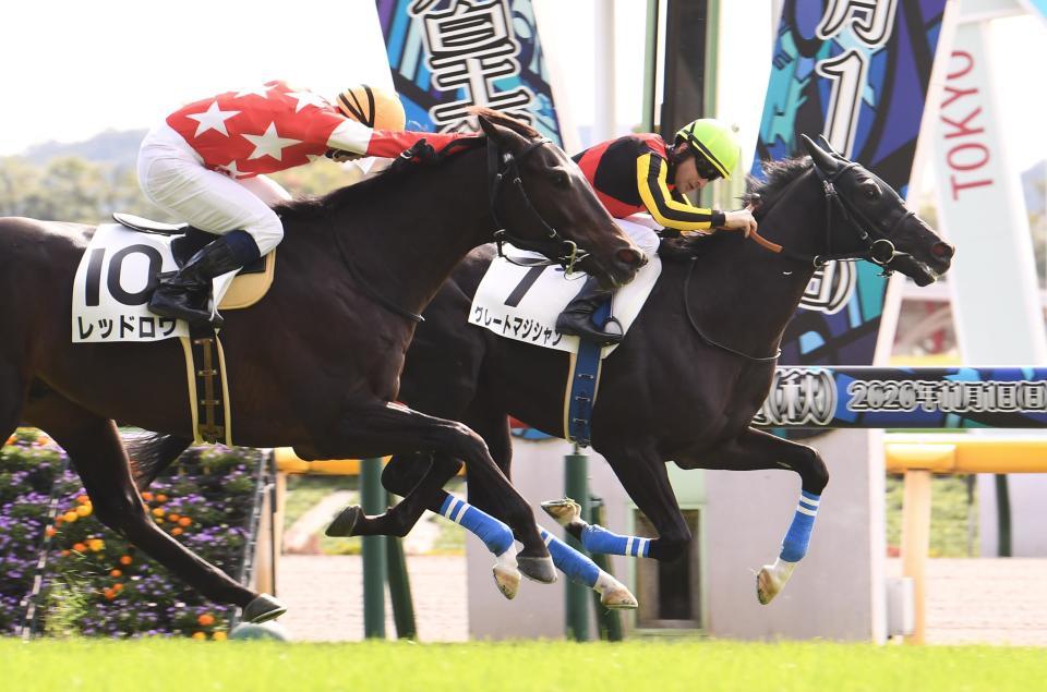 新馬戦を勝利したグレートマジシャン（右）＝東京競馬場