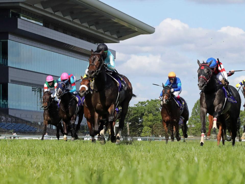 デアリングタクトが香港ｇ１に予備登録 競馬 レース デイリースポーツ Online