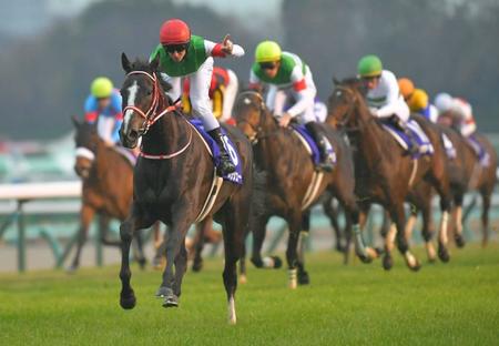 　２０１９年有馬記念を制したリスグラシュー