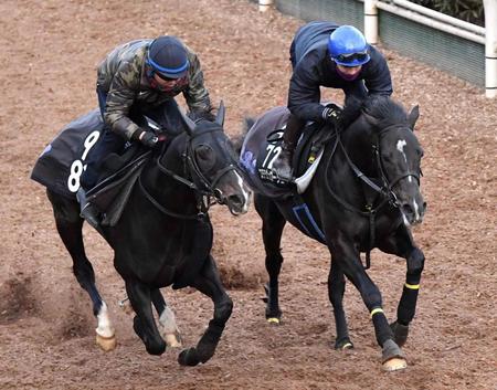 　楽々と駆け上がったステラヴェローチェ（右）＝撮影・佐々木彰尚