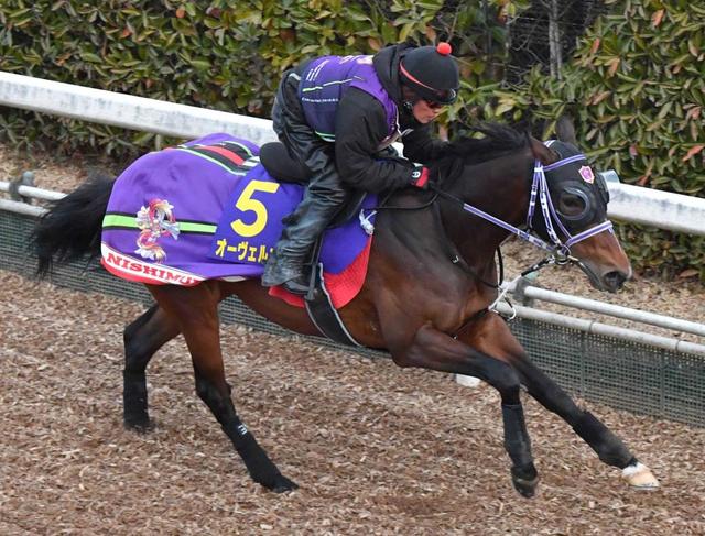 【フェブラリーＳ】オーヴェルニュ、好調キープ　西村師「動きは問題ない」