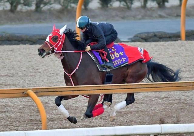 【京都記念】ラヴズオンリーユー、鋭伸リハ　オークス以来の復活星決める！