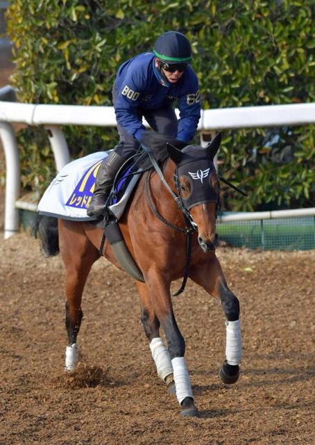 【フェブラリーＳ】レッドルゼル　川田の導きでダート界頂点へ！初のマイル戦が鍵に