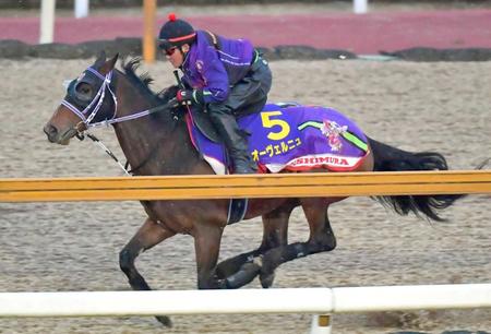 　栗東ＣＷで万全の態勢をアピールしたオーヴェルニュ