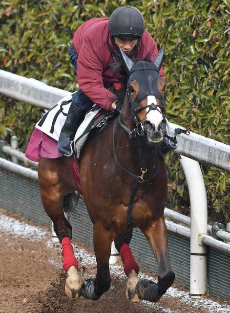 【危険な人気馬】G1好走馬が阪神11Rに登場 前向きな気性に外枠の試練