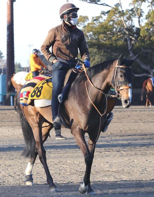 【危険な人気馬】東京11Ｒ出走のスタミナ自慢　府中での実績に不安が…