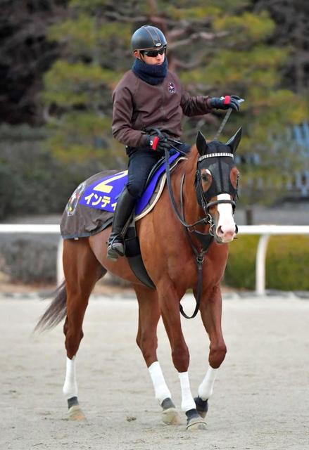 【フェブラリーＳ】馬場状態から浮上するのはこの馬だ