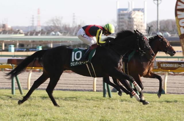 【ダイヤモンドＳ】グロンディオーズ、重賞初Ｖ　屈腱炎から戻ってきた不屈の６歳馬