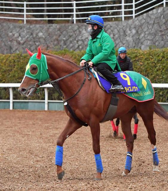 【フェブラリーＳ】サンライズノヴァ４度目の正直だ　生野助手「舞台も絶好」