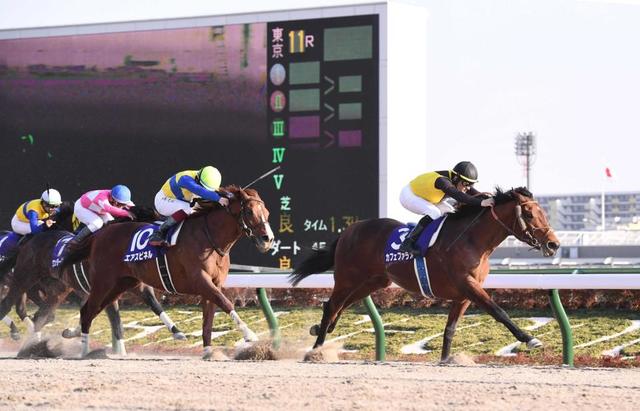 【フェブラリーＳ】カフェファラオ戴冠！ルメール２１年Ｇ１開幕弾＆連覇決めた