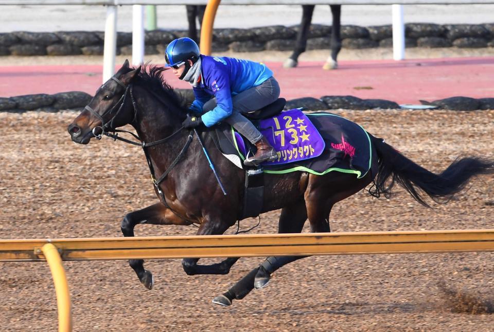 　始動戦へ態勢を整えるデアリングタクト