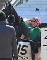 中山５Ｒ、シルバースピリットに騎乗し１着となり笑顔をみせる蛯名正義騎手＝中山競馬場