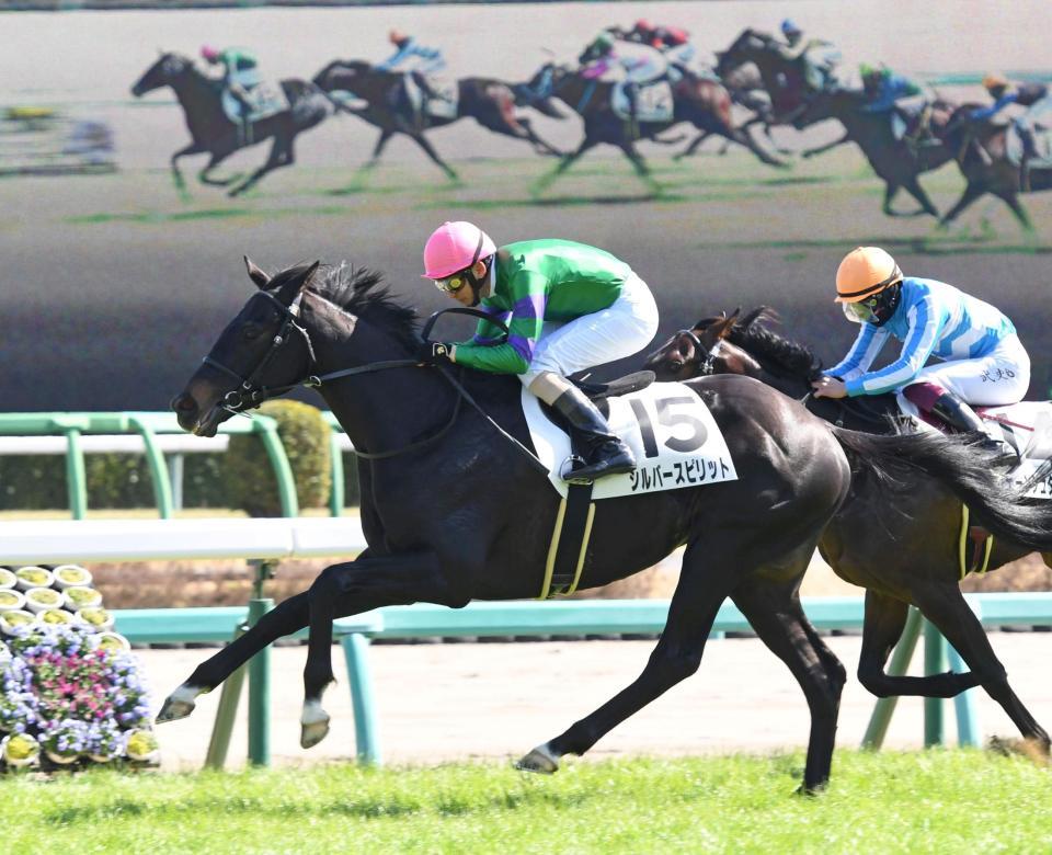 中山５Ｒ、シルバースピリットに騎乗し１着となった蛯名正義騎手＝中山競馬場（撮影・三好信也）