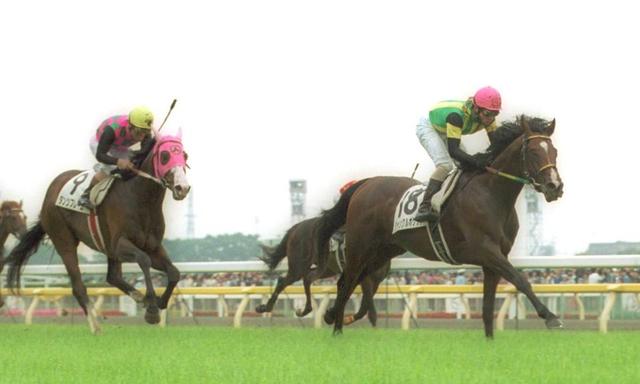 ジャングルポケット死す 01年ダービー ジャパンc覇者 23歳 競馬 レース デイリースポーツ Online ジャングルポケット死す 01年ダービー ジャパンc覇者 23歳 競馬 レース デイリースポーツ Online