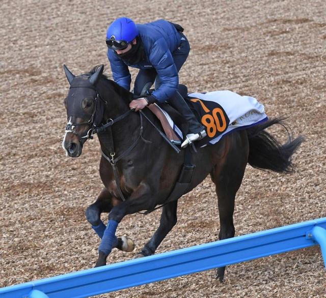 【弥生賞】タイトルホルダー、躍動感バッチリ 初コンビ横山武も高評価