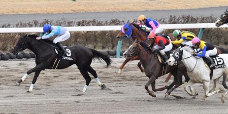 　総武Ｓを制したナムラカメタロー（左）（撮影・園田高夫）