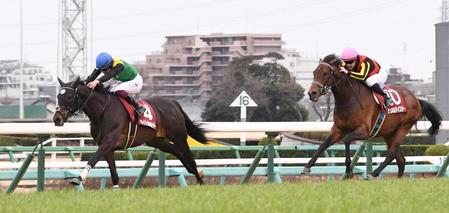 　後続を振り切ったタイトルホルダー（左）と２着のシュネルマイスター（撮影・園田高夫）