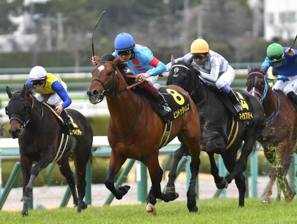 　１番人気に応えたヒンドゥタイムズ（中央）＝撮影・佐々木彰尚