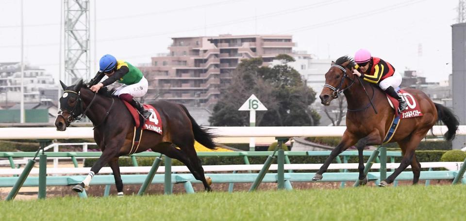 　後続を振り切ったタイトルホルダー（左）と２着のシュネルマイスター（撮影・園田高夫）