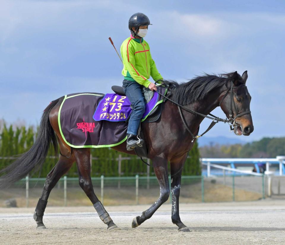 　始動戦を迎える２０２０年の３冠牝馬デアリングタクト